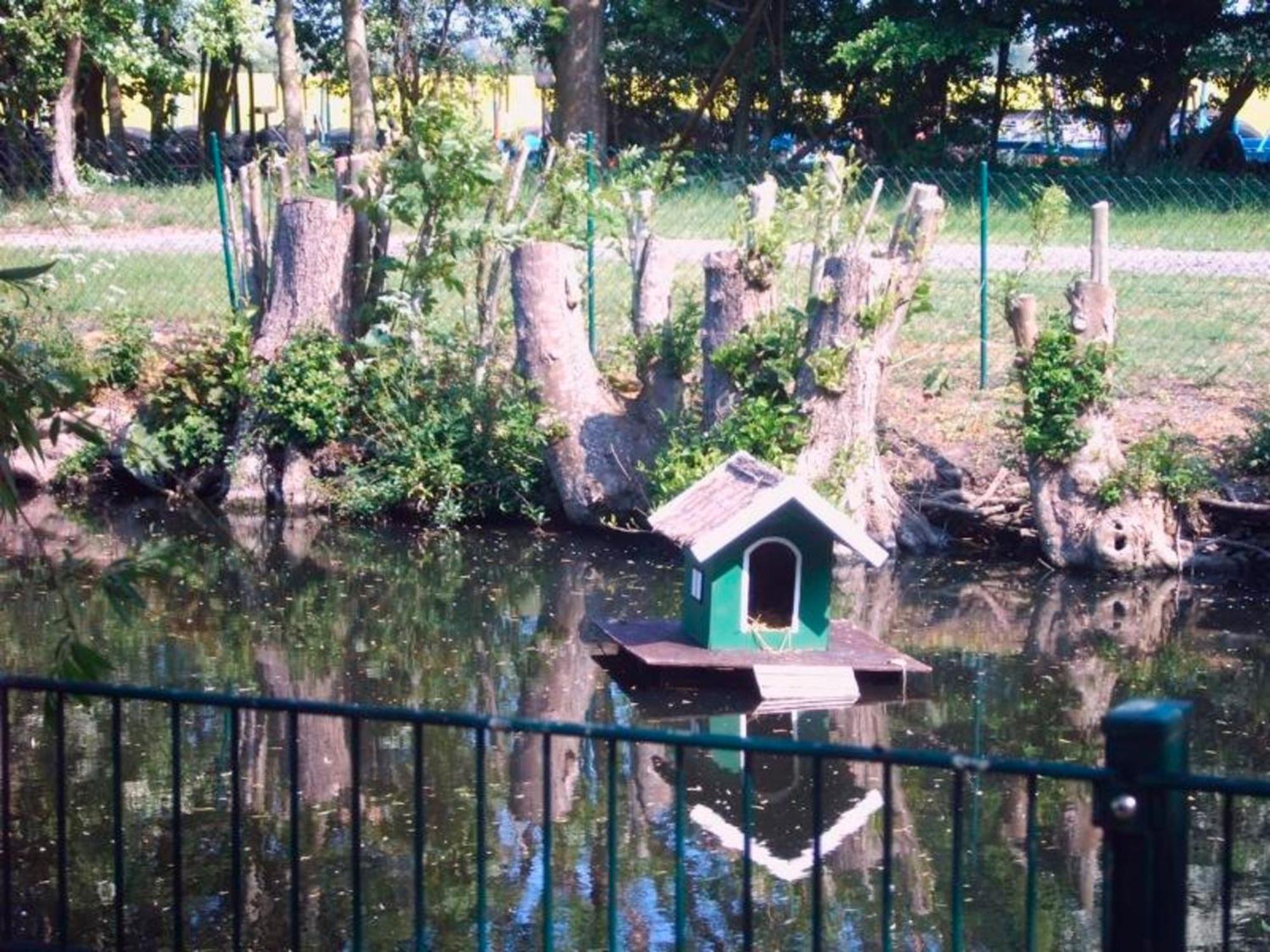 "Hoeper Mittelhof" Doppelzimmer Nr4 Lemkendorf 외부 사진
